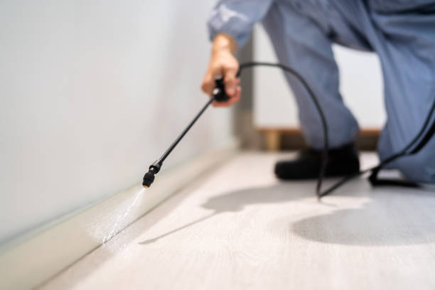 Licensed Pest Control service in Valmeyer, IL - Show Me Pest Control