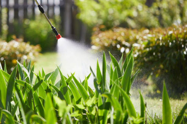 24/7 Emergency Mosquito Control experts in Valmeyer, IL