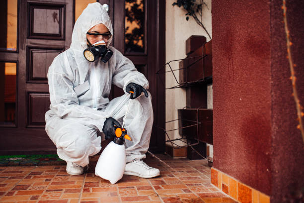 Reliable Mosquito Control contractor in Valmeyer, IL by Show Me Pest Control