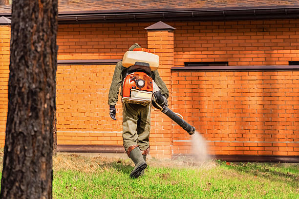 Top rated local Mosquito Control specialists in Valmeyer, IL